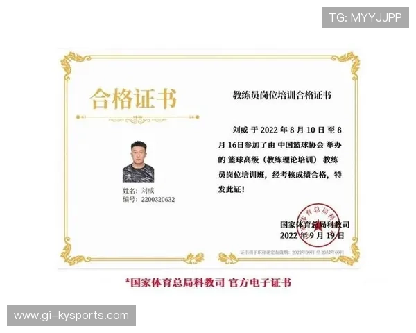 世界篮球学院在教学中开展跨国实训与在线证书课程拓展影响，世界篮球大学